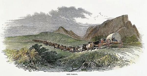 SOUTH AFRICA: GREAT TREK. Voortrekkers making the Great Trek from the Cape Colony to Natal between 1835 and 1843. Wood engraving, 1850