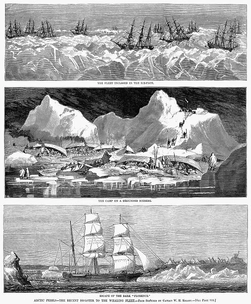 WHALING FLEET IN ICE, 1876. A whaling fleet stuck in Arctic ice. Wood engravings from an American newspaper of 1876