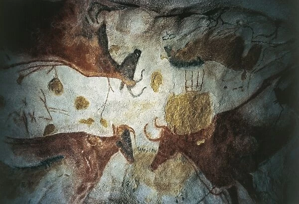 France, Aquitaine, Decorated Grottoes of Vezere Valley, Lascaux Grotto, upper Paleolithic cave painting