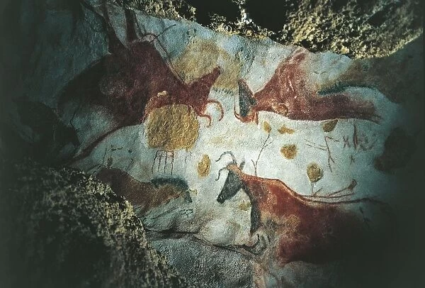 France, Aquitaine, decorated Grottoes of the Vezere Valley, Lascaux Grotto, upper Paleolithic cave painting with hunting scene