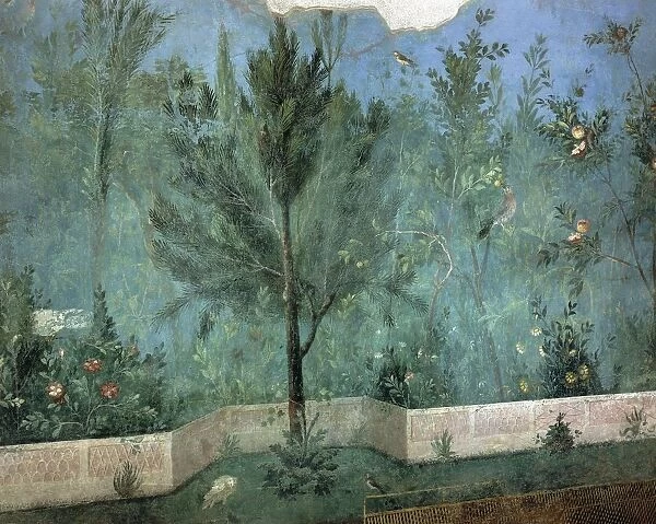 Fresco depicting garden with fruit trees and birds, detail of pine tree, from Rome, Triclinium of House of Livia