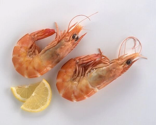 Two pink prawns and lemon slices, close-up