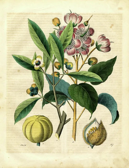 Framed Print : 11868614