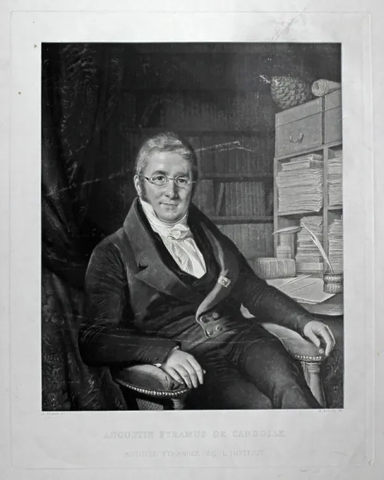 Framed Print : 11983908