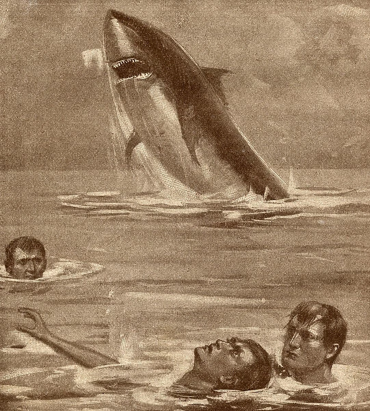 19th century illustration of a man rescuing a swimmer with a shark in the background
