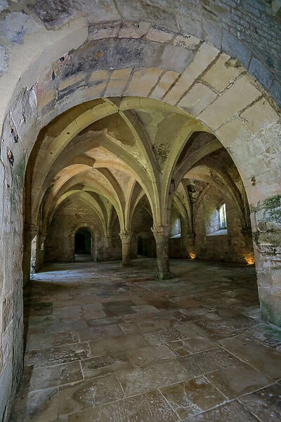 Abbey of Fontenay. Room inside the forge (photography)