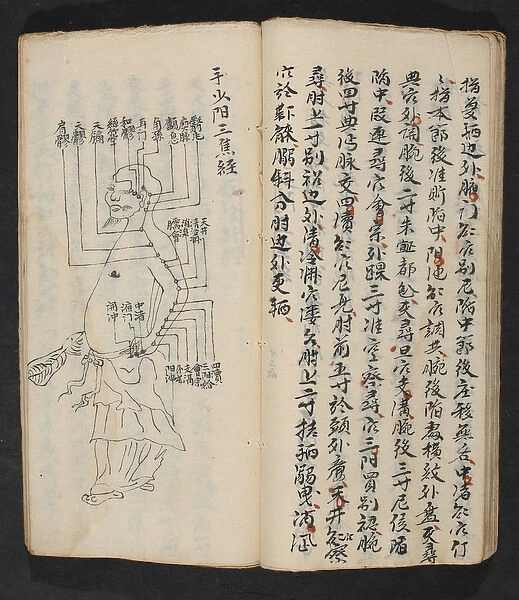Acupuncture points on the arm, neck and base of the head, from Jing Guan Qi Zhi
