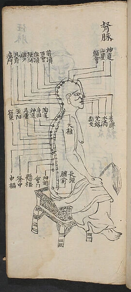 Acupuncture points along the spine and head, from Jing Guan Qi Zhi