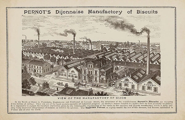 Advertisement for Pernot's Dijonnaise Manufactury of Biscuits (litho)