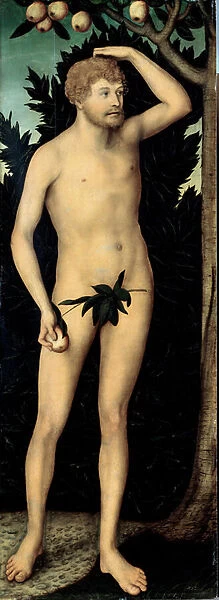 Adam, 16th century (oil on panel)