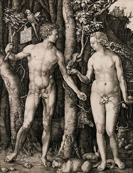 Adam and Eve, 1504 (engraving)