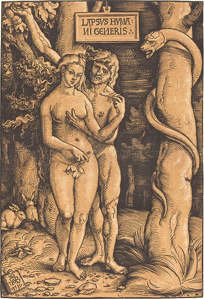 Adam and Eve, 1511 (woodcut)