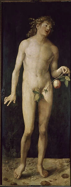 Adam (oil on wood, 1507)