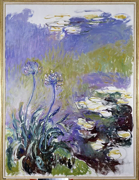 The agapanthus, 1914-1917 (oil on canvas)