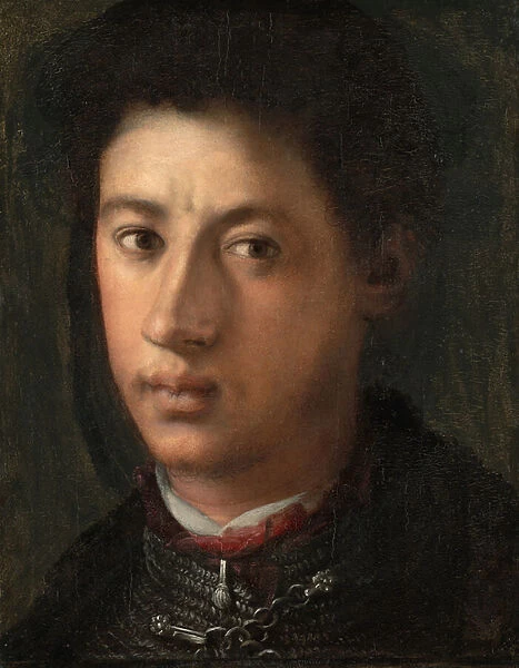 Alessandro de Medici, 1534-35 (oil on panel)