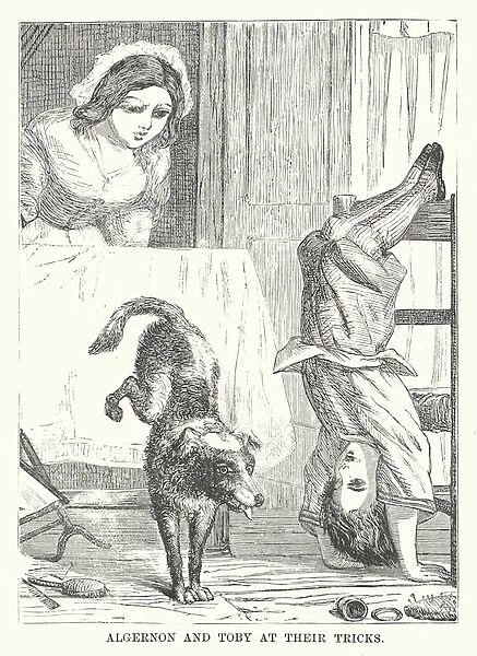 Algernon and Toby at their tricks (engraving)