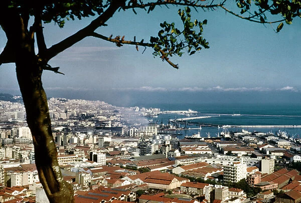 Algiers, Algeria, 1959 (photo)