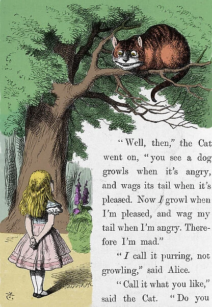 Alice and the Cat, illustration by Sir John Tenniel for the first edition of Alice in