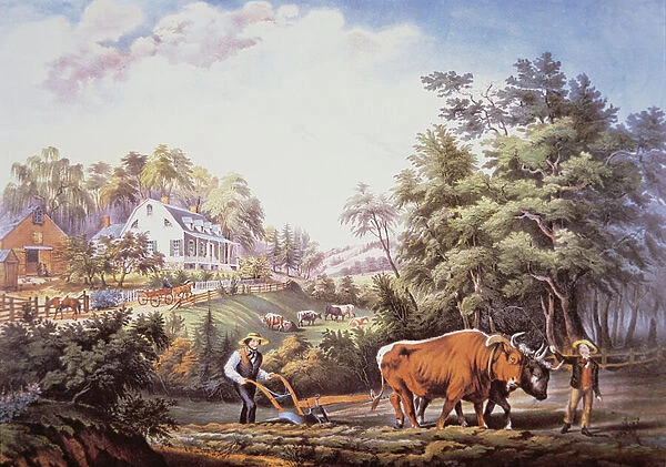 American Farm Scene, 1853 (colour litho)