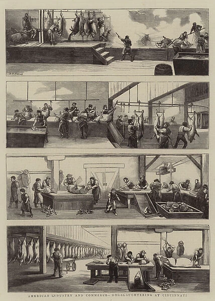 American Industry and Commerce, Hog-Slaughtering at Cincinnati (engraving)