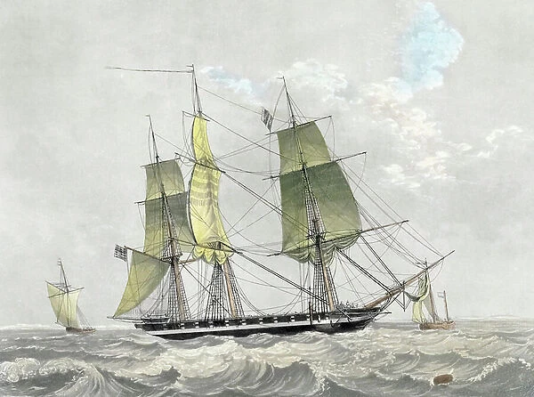 American navy corvette under sail, early 19th century (print)
