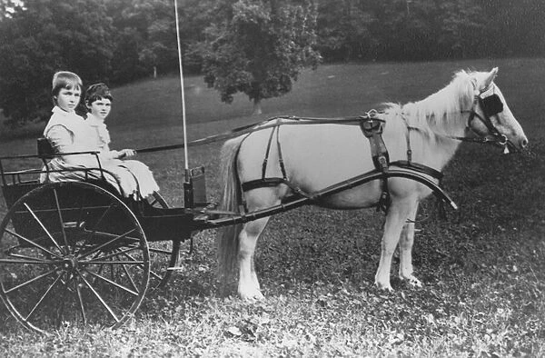 Amy and Julia du Pont with their pony driven buggy (b  /  w photo)