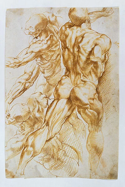 Anatomical studies: Nudes in combat (pen & brown ink on paper)