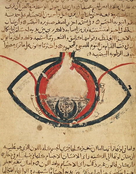 Anatomy of the Eye, from a book on eye diseases (vellum)