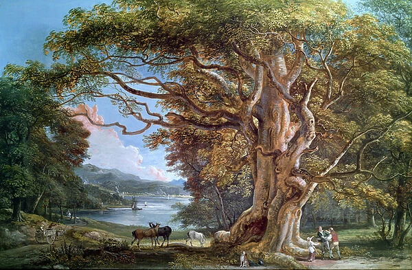 An Ancient Beech Tree, 1794 (oil on canvas)