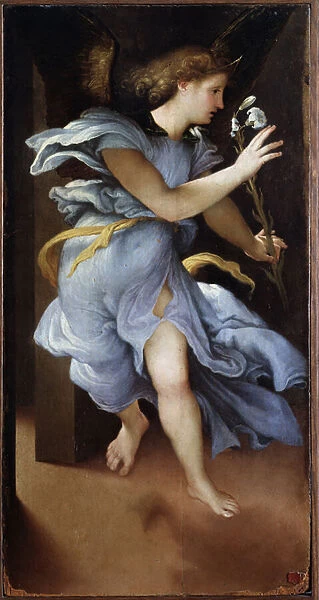 Angel of the Annunciation - Painting, 1526-1527