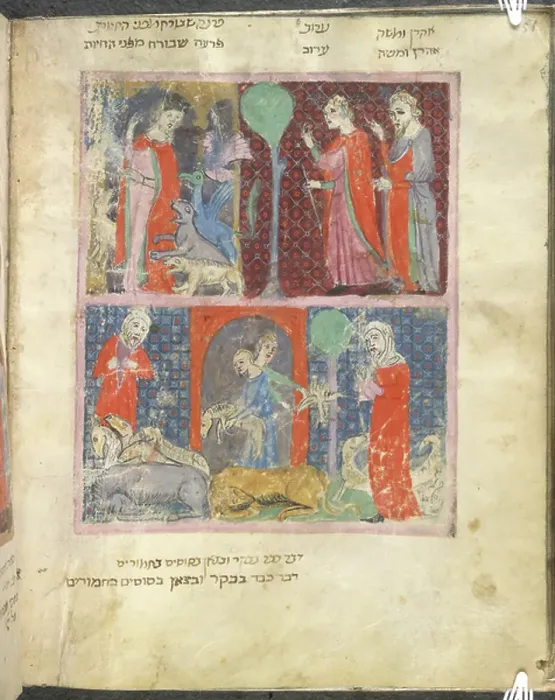Framed Print : Animals. BL748790 Animals; British Library, London, UK; (add.info.: Sister Haggadah.