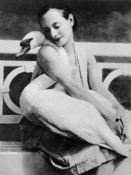 Anna Pavlova with her pet swan Jack, c. 1905 (b  /  w photo)