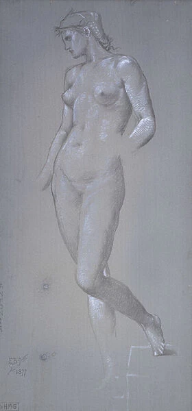 Antonia, 1877 (Silverpoint and bodycolour on grey prepared ground)