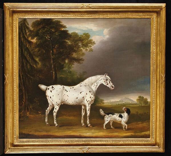 Appaloosa Horse and spaniel, 1807 (oil on canvas)