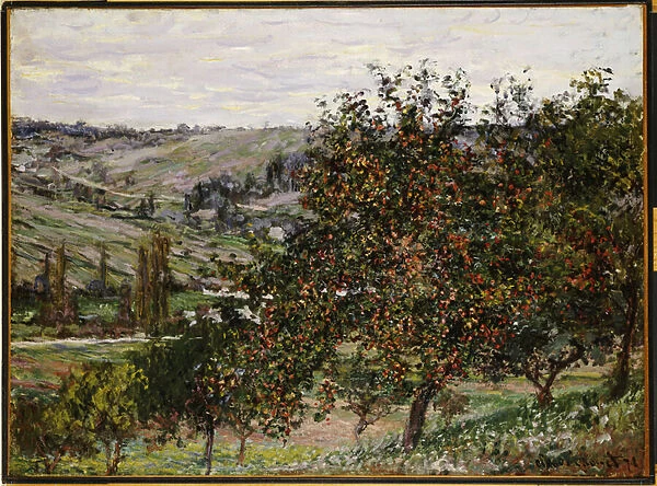 Apple Trees near Vetheuil (oil on canvas)