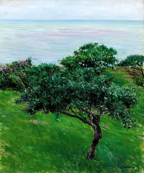 Apple Trees by the Sea, Trouville, 1880 (oil on canvas)