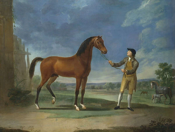 An Arab stallion held by a groom (oil on canvas)
