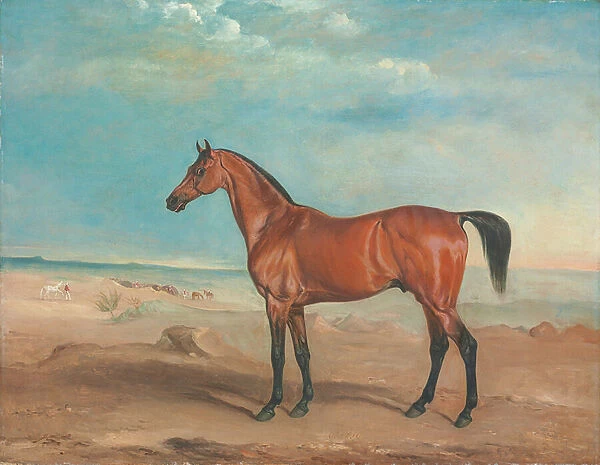 The Arab stallion Orelio in a desert landscape, other horses and figures beyond, 1833 (oil on canvas)