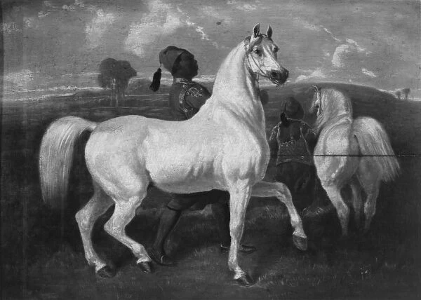 Arabian Horses, 19th century (oil on panel)