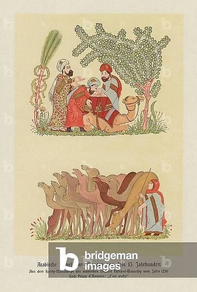 Arabic depictions of camels (colour litho)