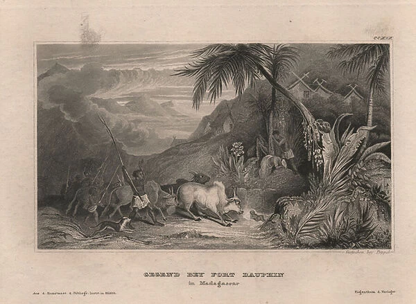 Area at Fort Dauphin, 1838 (engraving)