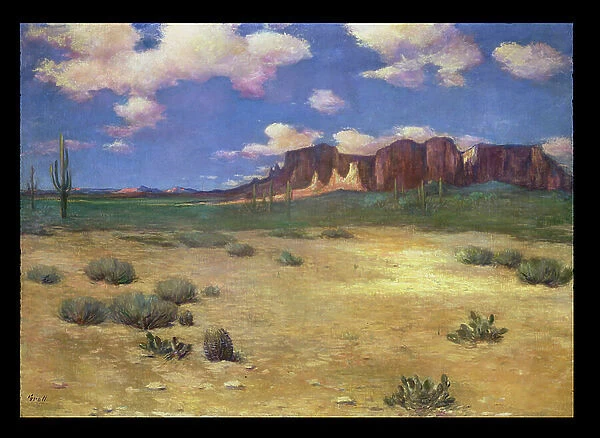 Arizona Landscape (oil on canvas)