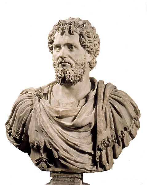 Art Rome: Bust of Roman Emperor Septime Severe (emperor 193 - 211 AD)