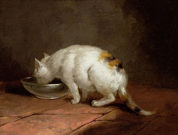 The Artists Cat Drinking, 1792 (oil on canvas)
