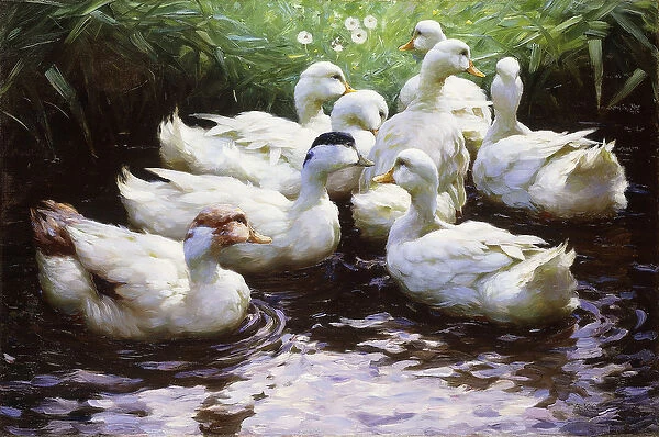 Ashore (Ducks), (oil on canvas)
