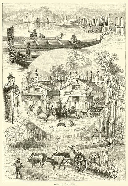 Asia, New Zealand (engraving)