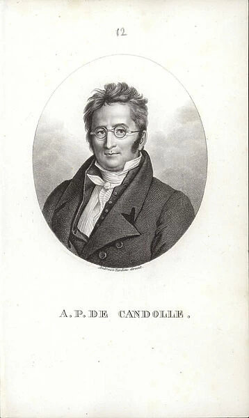 Augustin Pyramus de Candolle (engraving)