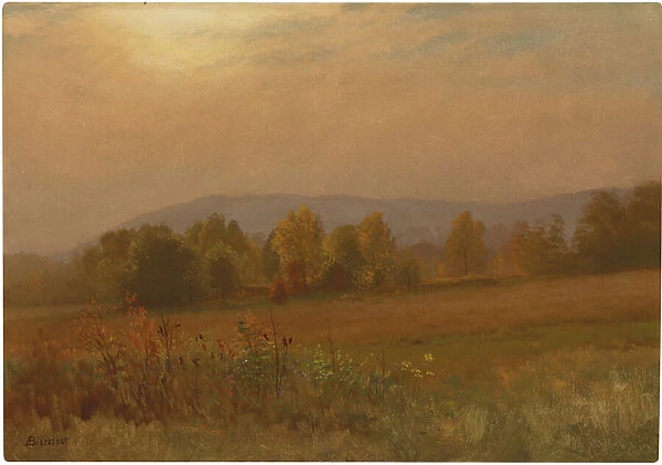 Autumn landscape, New England (oil on paper laid down on board)