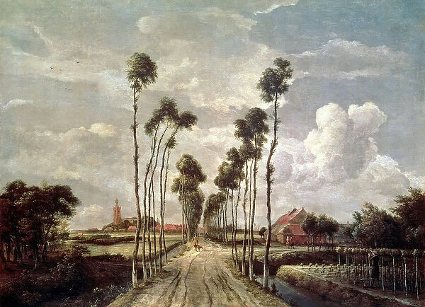 The Avenue at Middelharnis, 1689 (oil on canvas)