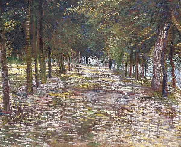 The Avenue at the Park of Voyer-d Argenson at Asnieres, 1887 (oil on canvas)